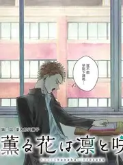 城市夜归人综艺中文字幕在线观看